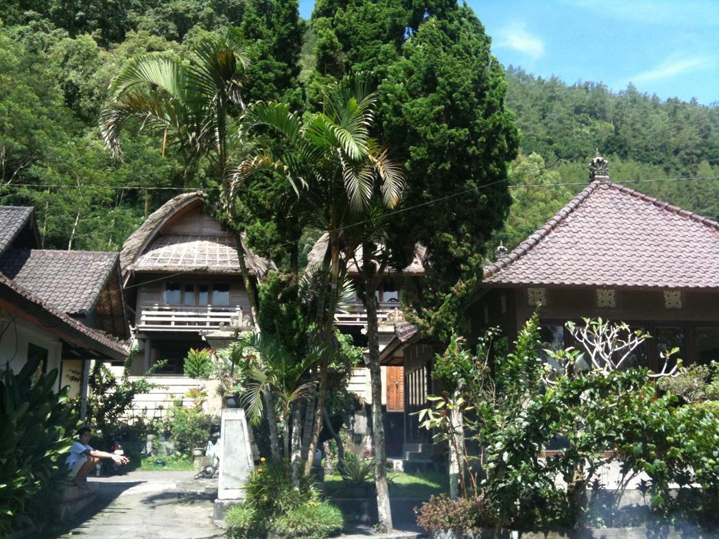 Baruna Lake Side View Kintamani Eksteriør billede